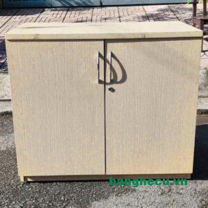 Tủ hồ sơ tài liệu thấp 2 cánh như mới